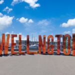 Full Day Private Tour Sightseeing Wellington Including Pickup - Why Choose This Tour?