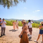Full day private tour to Chianti wine region from Florence - A Deep Dive into the Tuscany Experience