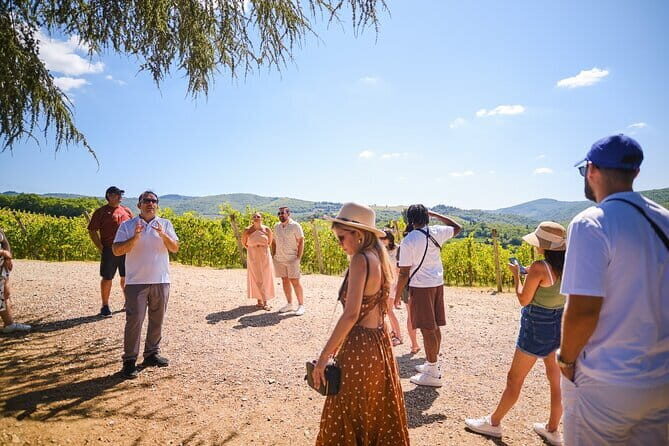 Full day private tour to Chianti wine region from Florence - A Deep Dive into the Tuscany Experience