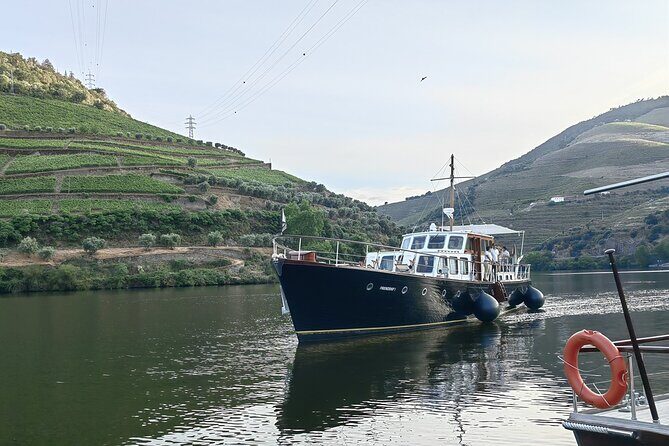 Full Day Private Tour to Douro - Vintage Experience - Why This Tour Works Well for Travelers