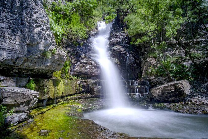 Full Day Private Tour to Khosrov Forest State Reserve - Key Points