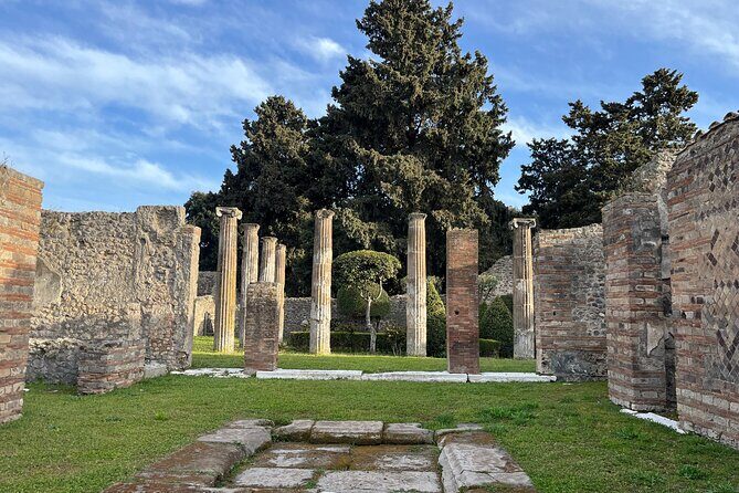 Full Day Private Tour to Pompeii, Herculaneum and Oplontis - FAQs