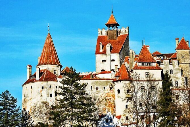 Full-Day Private Tour to Sinaia, Bran and Brasov from Bucharest - Who Will Love This Tour?