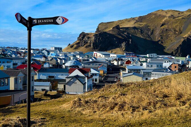 Full Day Private Westman Island Tour from Reykjavik - What Makes This Tour Stand Out