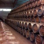 Full Day Private Wine Tour in Arrabida - A Detailed Breakdown of the Itinerary