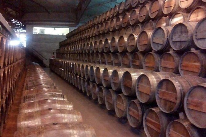 Full Day Private Wine Tour in Arrabida - A Detailed Breakdown of the Itinerary