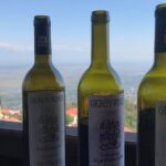 Full Day Private Wine Tour in Kakheti Region with Lunch and 3 Wine Tastings - Why This Tour Stands Out