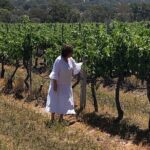 Full-Day Private Wine Tour of the Stanthorpe Area with Lunch - Who Should Consider This Tour?