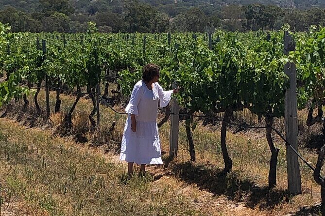 Full-Day Private Wine Tour of the Stanthorpe Area with Lunch - Who Should Consider This Tour?