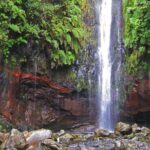 Full-Day Rabaçal Levada Walk from Funchal - Authentic Experiences and Practical Tips