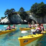Full-Day Rainforest Getaway in Northland - Final Thoughts