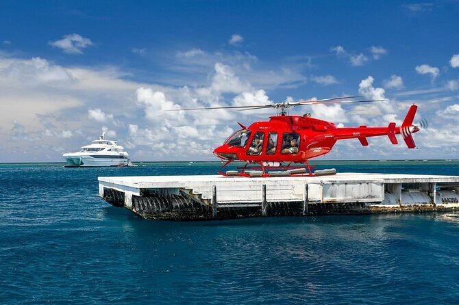 Full Day Reef Cruise and 10 Minute Helicopter Scenic Flight - What Real Travelers Say