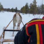 Full-Day Reindeer Tour with Pickup in Kiruna - Value and Pricing Considerations