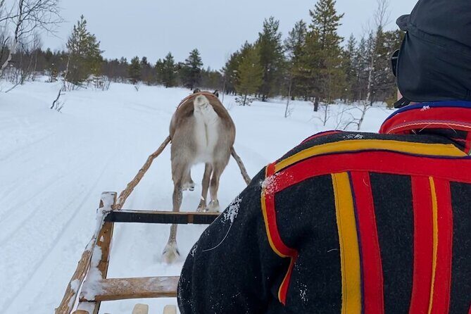 Full-Day Reindeer Tour with Pickup in Kiruna - Value and Pricing Considerations