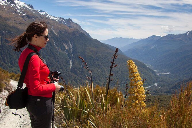 Full-Day Routeburn Track Key Summit Guided Walk from Te Anau - The Itinerary in Detail
