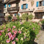 Full Day Safari Tour Villages & Vineyards Wine tasting - Who Would Love This Tour?