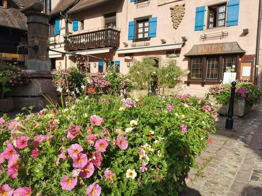 Full Day Safari Tour Villages & Vineyards Wine tasting - Who Would Love This Tour?