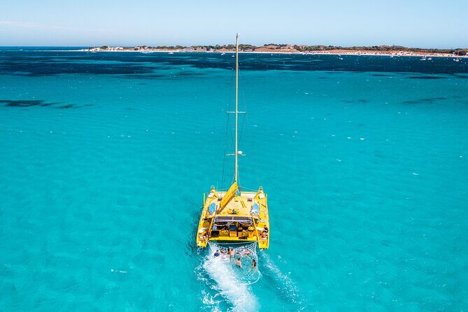 Full Day Sail to Rottnest Island from Fremantle - Practical Details and Value