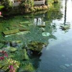 Full Day Salda + Pamukkale Tour from Side/Manavgat - Authentic Experiences and Practical Tips