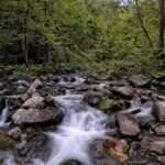 Full Day Sapanca and Masukiye Tour with lunch - What to Expect from the Activities