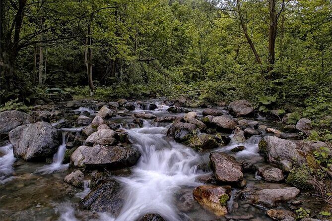 Full Day Sapanca and Masukiye Tour with lunch - What to Expect from the Activities