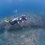 Full Day Scuba Dive Off The Na Pali Coast, Kauai-Mana Crack - Key Points