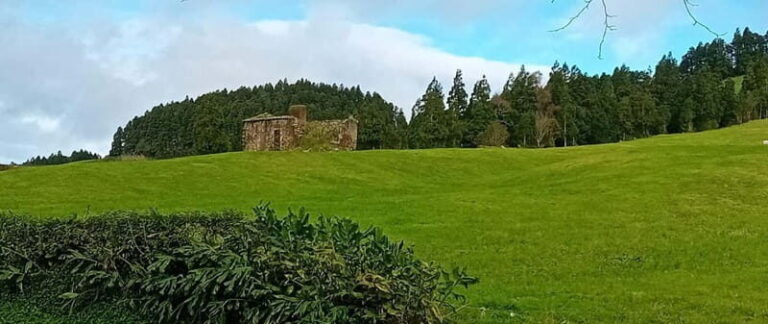 Full day Sete Cidades Lagoa de Fogo - Who Will Love This Tour?