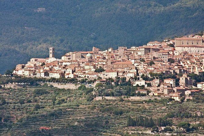 Full Day Siena , Montalcino, Val D'Orcia from Rome - Who Should Consider This Tour?