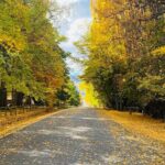 Full Day Sightseeing Tour To Discover Queenstown's Scenic Wonder - Frequently Asked Questions