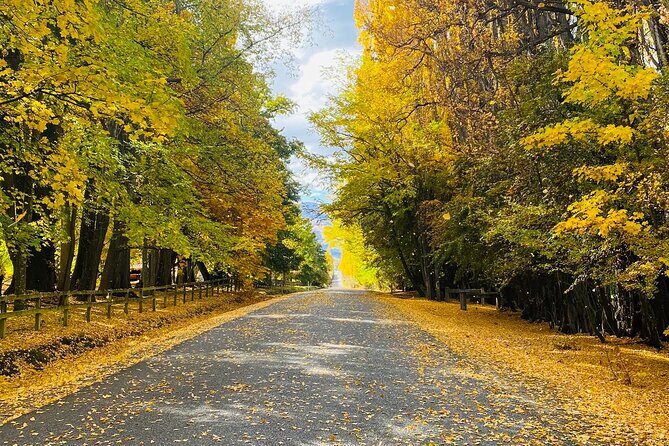 Full Day Sightseeing Tour To Discover Queenstown's Scenic Wonder - Frequently Asked Questions