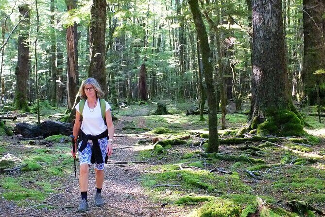 Full-Day Small-Group Routeburn Valley Hike - Who Should Consider This Tour?