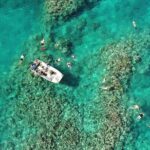 Full Day Snorkelling Cruise in Tranquility Island Resort - Who Is This Tour Best For?