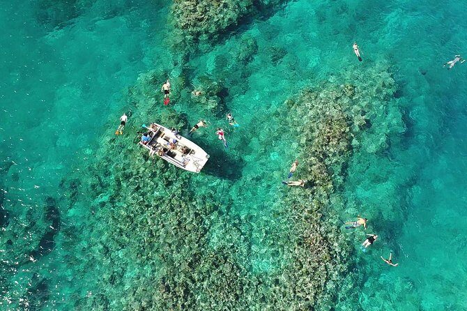 Full Day Snorkelling Cruise in Tranquility Island Resort - Who Is This Tour Best For?