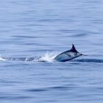 Full Day Sportsman/Enthusiast Charter - Who Should Consider This Experience?