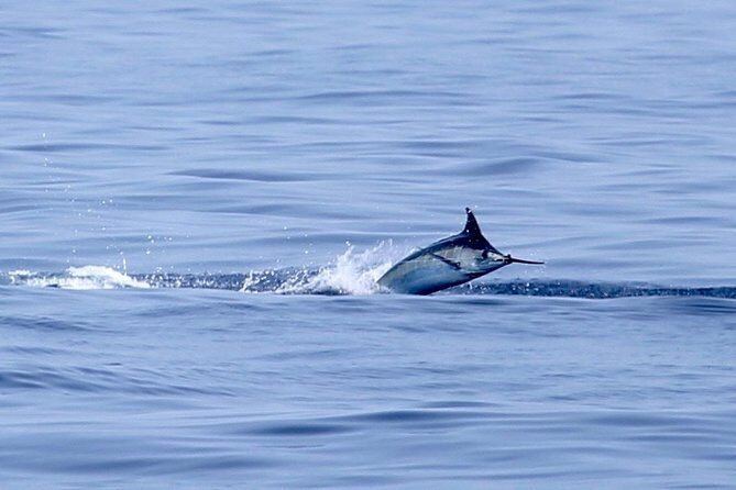 Full Day Sportsman/Enthusiast Charter - Who Should Consider This Experience?