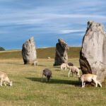 Full-Day Stonehenge and Avebury Tour from Glastonbury - Who Will Love This Tour?