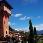 Full-Day Taste the Wines of Marlborough Tour - Who Should Consider This Tour?