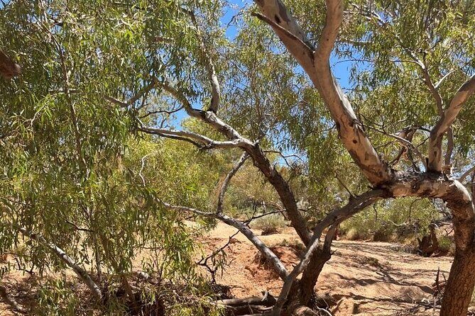 Full day The Painted Desert Tour in Outback South Australia - The Drive Along Kempe Road: From Moon Plains to Arckaringa Hills