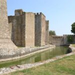 Full-Day Tour along Danube with Three Stronghold Sightseeing and Wine Tasting - The Practical Side: What to Expect