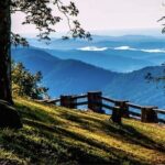 Full Day Tour from Atlanta to Amicalola Falls and Blue Ridge - The Value of This Tour