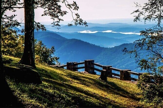 Full Day Tour from Atlanta to Amicalola Falls and Blue Ridge - The Value of This Tour