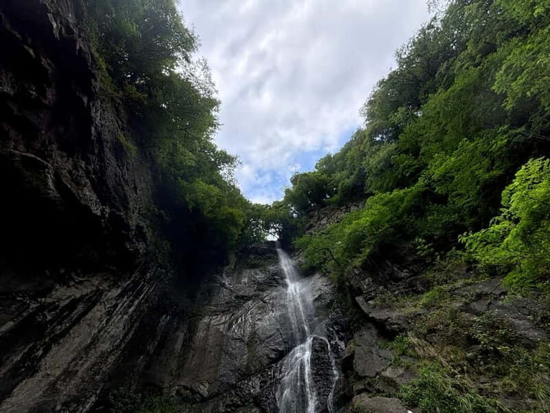 Full Day Tour from Batumi to Waterfalls - Exploring Georgia’s Natural and Historic Highlights from Batumi