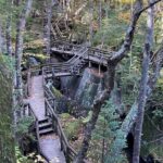 Full-Day Tour from Boston: Lost River & Flume Gorge Adventure - Authentic Experiences Shared by Travelers