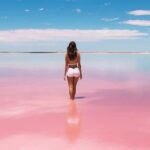 Full Day Tour from Cancun Rio Lagartos and Las Coloradas - Who Will Appreciate This Tour?