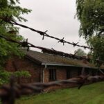 Full-Day Tour From Warsaw to Auschwitz (guided) and Krakow by car - The Sum Up