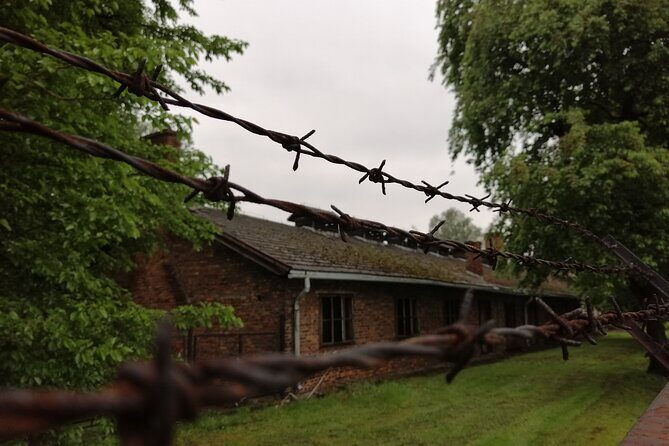 Full-Day Tour From Warsaw to Auschwitz (guided) and Krakow by car - The Sum Up