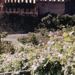 Full-Day Tour - I love Amarone Valpolicella & Verona - Exploring Verona and Veneto Wines: A Detailed Review