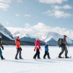 Full Day Tour in Lake Louise and Ice field Parkway - Exploring the Full Itinerary
