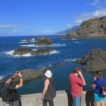 Full Day Tour in Porto Moniz with the Locals - Transport, Group Size, and Practicalities
