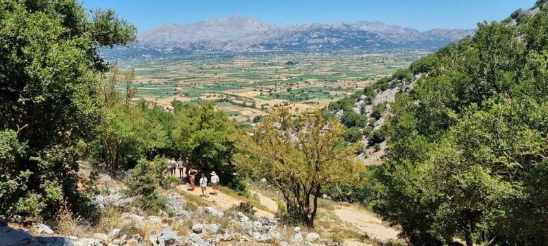 Full day tour Knossos,Zeus's land,lasithi&olive oil factory - An In-Depth Look at What You Can Expect